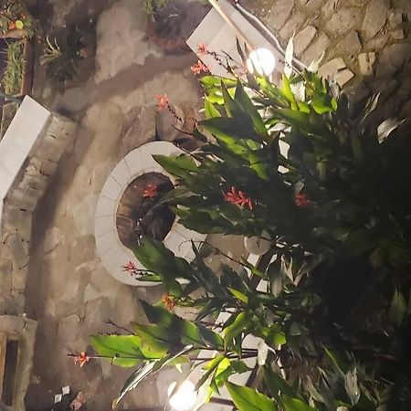 Kasauli Cascade A Cheerfull 4 Bedroom Challet Esterno foto