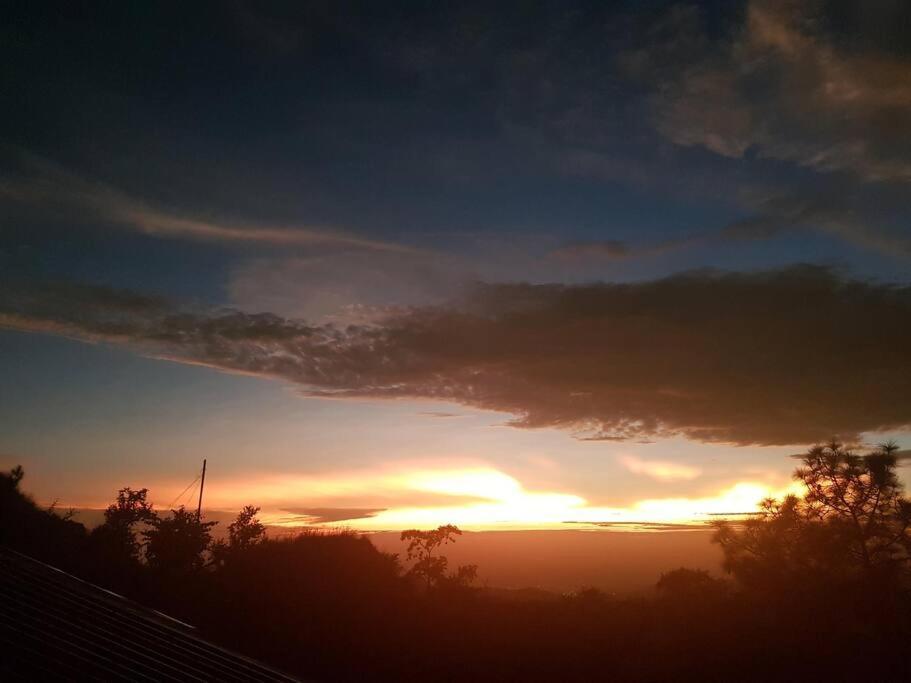 Kasauli Cascade A Cheerfull 4 Bedroom Challet Esterno foto