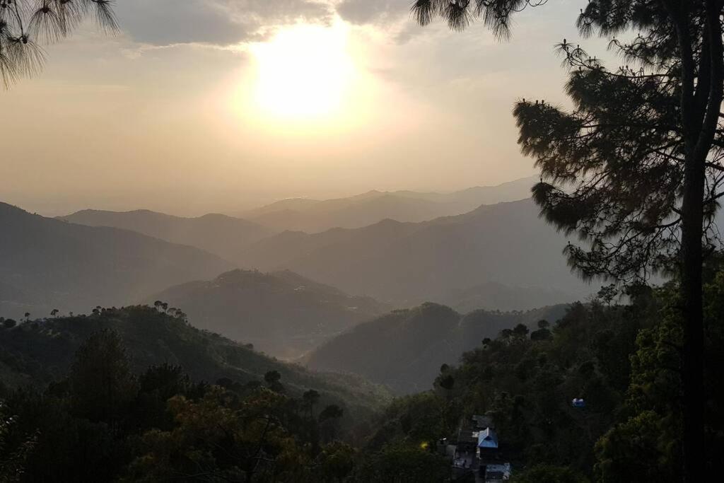 Kasauli Cascade A Cheerfull 4 Bedroom Challet Esterno foto