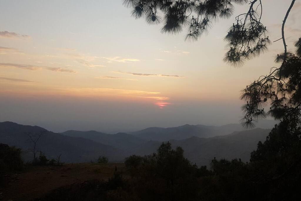 Kasauli Cascade A Cheerfull 4 Bedroom Challet Esterno foto