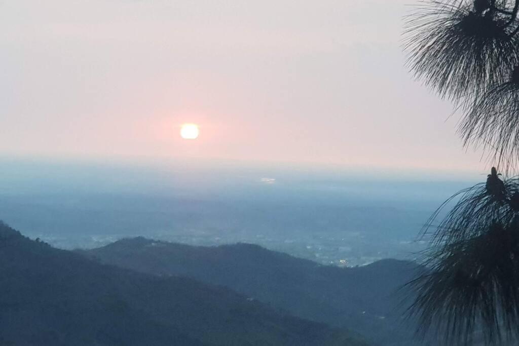 Kasauli Cascade A Cheerfull 4 Bedroom Challet Esterno foto