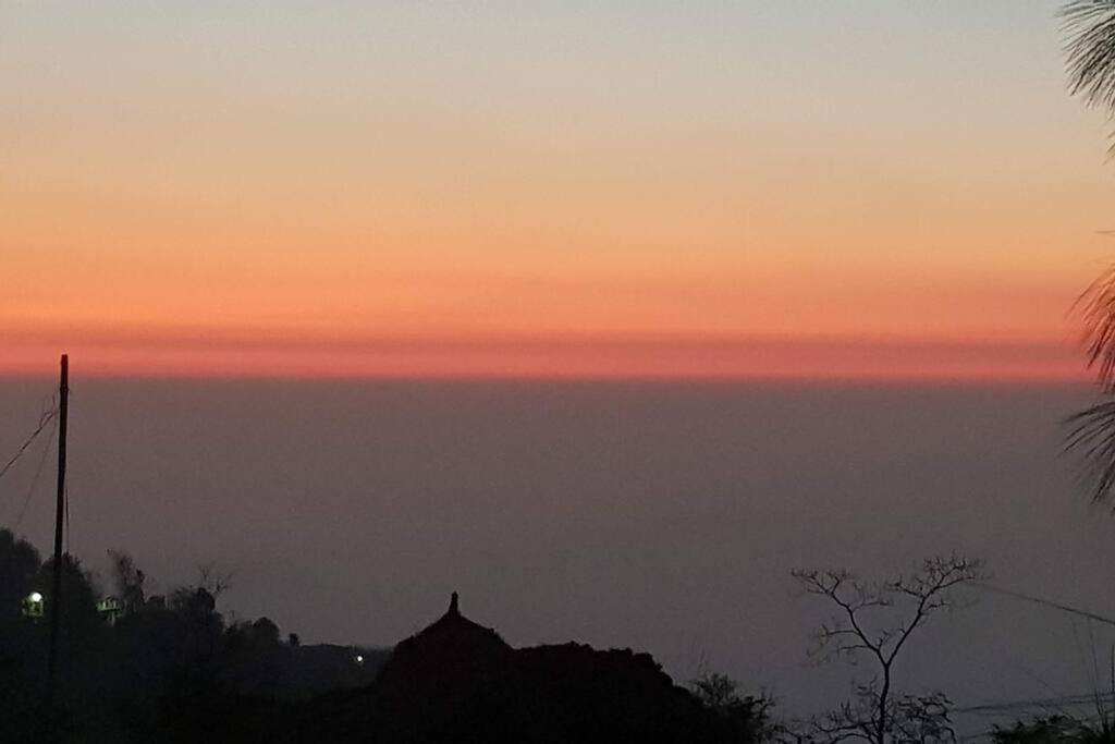 Kasauli Cascade A Cheerfull 4 Bedroom Challet Esterno foto