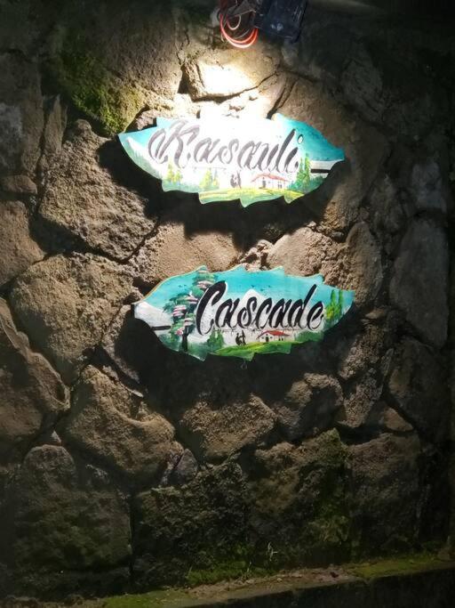 Kasauli Cascade A Cheerfull 4 Bedroom Challet Esterno foto