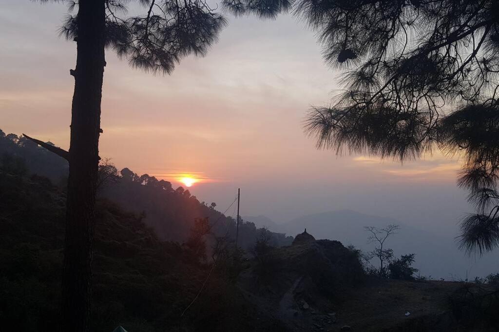 Kasauli Cascade A Cheerfull 4 Bedroom Challet Esterno foto