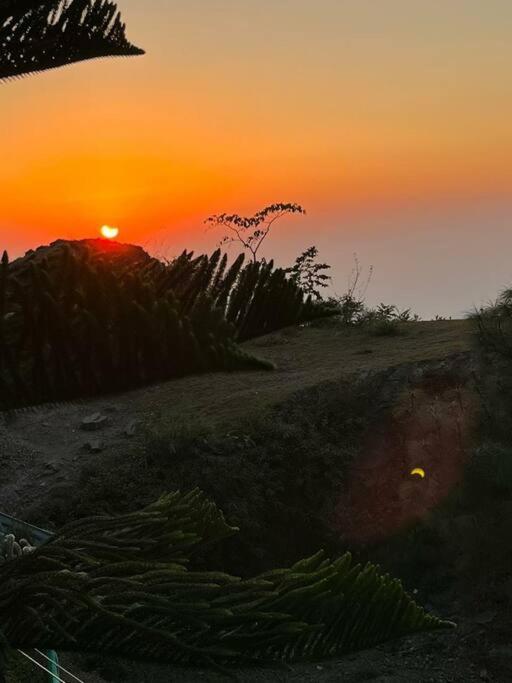 Kasauli Cascade A Cheerfull 4 Bedroom Challet Esterno foto